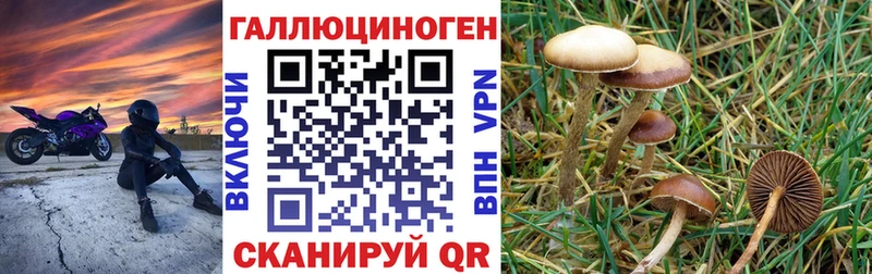 МЕГА ССЫЛКА Ливны Галлюциногенные грибы ЛСД